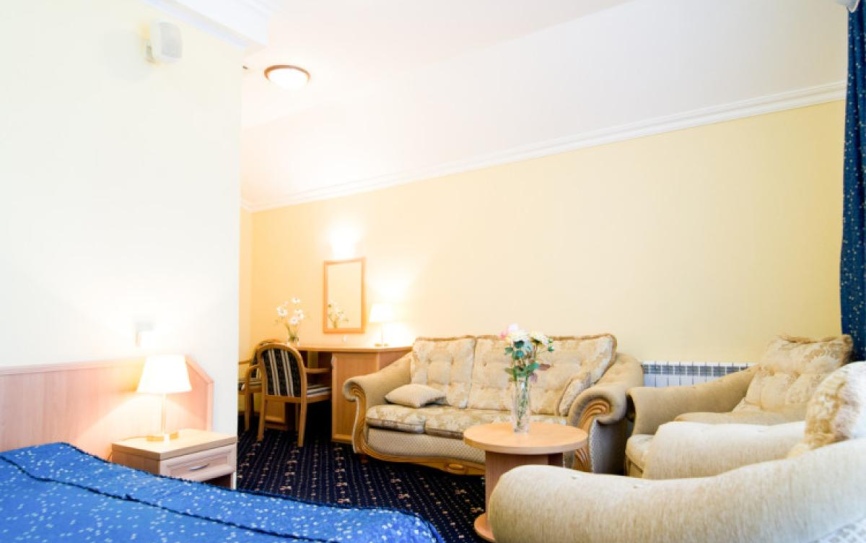 Комфорт Студия 2-местный 1-комнатный *  - 3