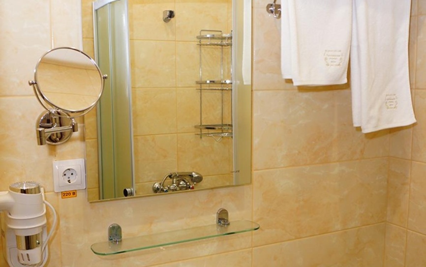 Стандарт Плюс 2-местный стандарт корпус 5  место в номере (ПОДСЕЛЕНИЕ) *  - 3