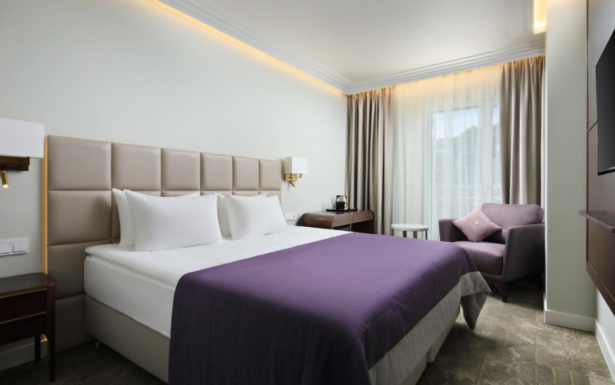 Делюкс 1-комнатный *  - 1