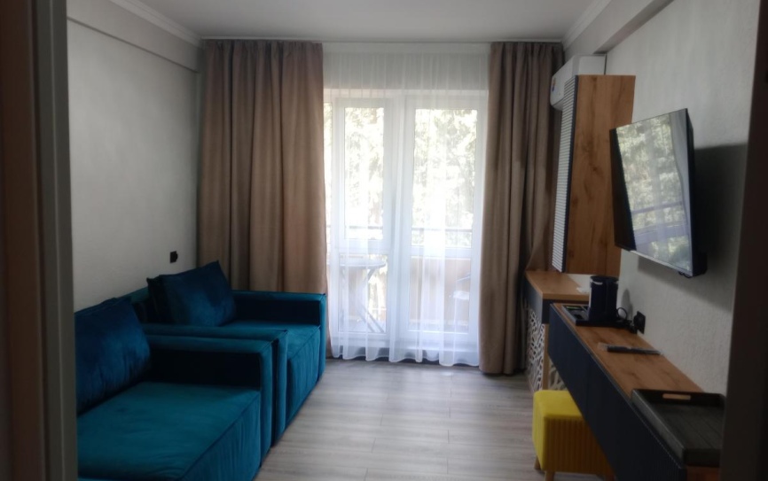 Люкс 2-местный 2 комнатный Люкс Комфорт корпус 1 (ЛК2м2 корпус 1К) *  - 3