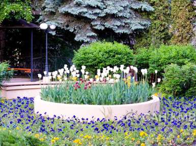 Санаторий «Долина Нарзанов» 4* Ессентуки - 17