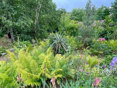 Пансионат Орлиное Гнездо —* Кисловодск - 12