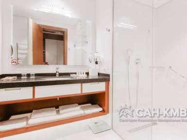 Санаторий Источник 5* Железноводск - 109