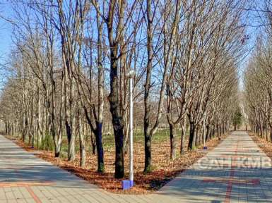 Санаторий «Елизавета - Минеральные Воды» 4* Железноводск - 41