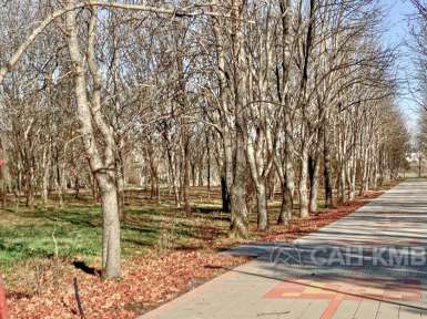 Санаторий «Елизавета - Минеральные Воды» 4* Железноводск - 42