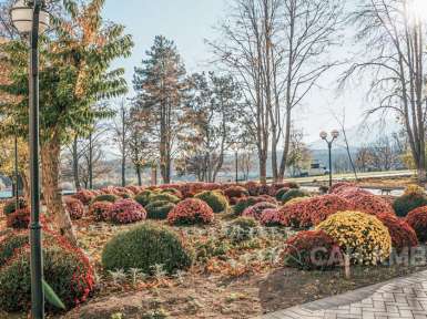 Санаторий «Елизавета - Минеральные Воды» 4* Железноводск - 43