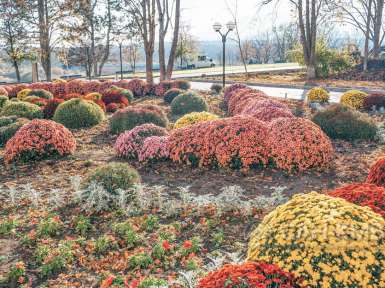 Санаторий «Елизавета - Минеральные Воды» 4* Железноводск - 44