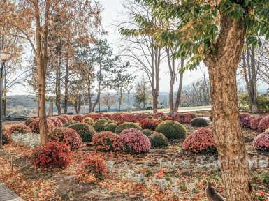 Санаторий «Елизавета - Минеральные Воды» 4* Железноводск - 45