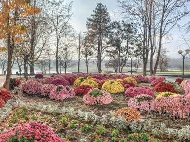 Санаторий «Елизавета - Минеральные Воды» 4* Железноводск - 60