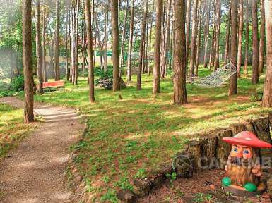 Санаторий Лесной 3* Железноводск - 12