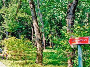 Санаторий Лесной 3* Железноводск - 15