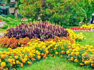 Санаторий Лесной 3* Железноводск - 16