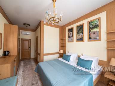 Санаторий Дворец Нарзанов 5* Кисловодск - 62