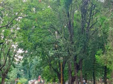 Санаторий «Лесная Поляна» 2* Пятигорск - 12