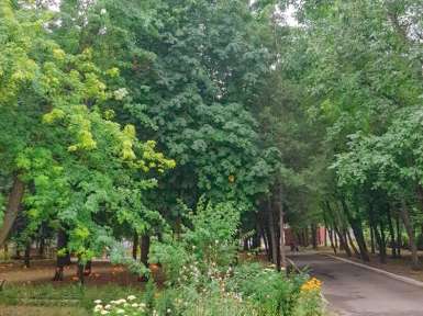 Санаторий «Лесная Поляна» 2* Пятигорск - 14