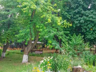 Санаторий «Лесная Поляна» 2* Пятигорск - 15