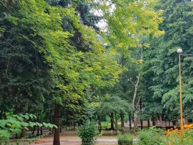 Санаторий «Лесная Поляна» 2* Пятигорск - 19