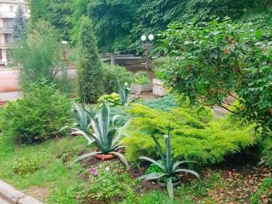 Санаторий «Лесная Поляна» 2* Пятигорск - 8