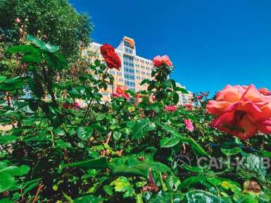 Санаторий «Солнечный» 3* Кисловодск - 19