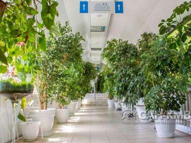 Санаторий Родник 3* Пятигорск - 26