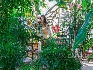 Санаторий Родник 3* Пятигорск - 27