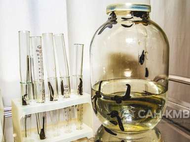 Санаторий «им. С.М. Кирова» 3* Пятигорск - 63