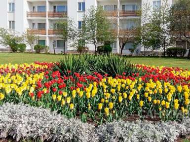Санаторий Москва 4* Ессентуки - 25