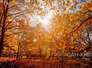 Санаторий «Машук» 2* Пятигорск - 22