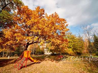 Санаторий «Машук» 2* Пятигорск - 6