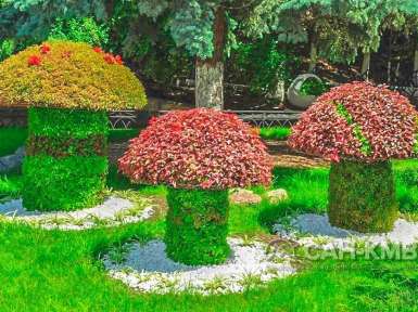 Санаторий «Зори Ставрополья» 3* Пятигорск - 14