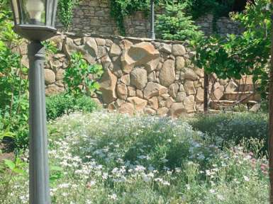 Медицинский центр «Княжна Мери» —* Железноводск - 19