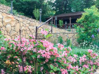 Медицинский центр «Княжна Мери» —* Железноводск - 24