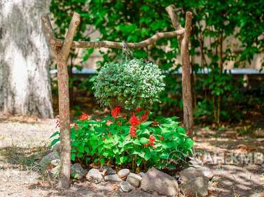 Санаторий «Эльбрус» 2* Железноводск - 17