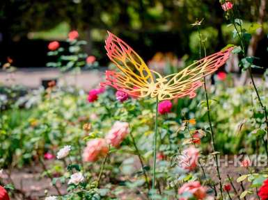 Санаторий «Эльбрус» 2* Железноводск - 18