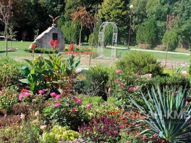 Санаторий «Дубрава» 2* Железноводск - 22