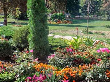 Санаторий «Дубрава» 2* Железноводск - 30