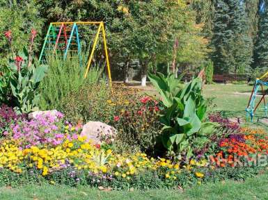 Санаторий «Дубрава» 2* Железноводск - 35