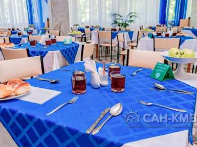 Санаторий «Дубрава» 2* Железноводск - 54