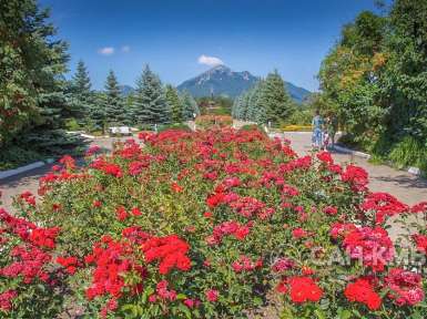 Санаторий «Машук Аква-Терм» 4* Железноводск - 38