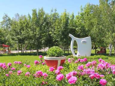 Санаторий «Виктория» 2* Ессентуки - 14