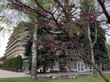 Санаторий «Дон» * Ессентуки - 18